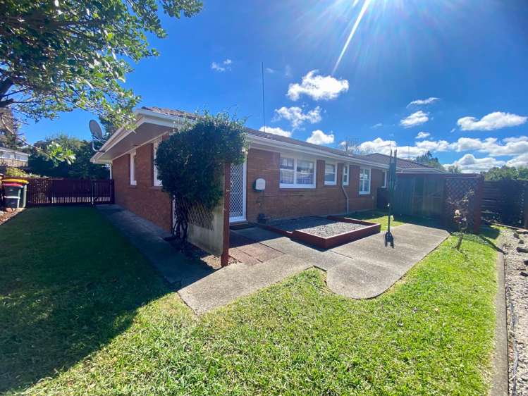 Taonui Street Rosehill_9