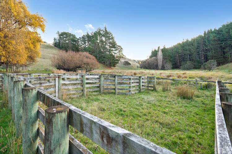 5 Manawa Road Tinui_13