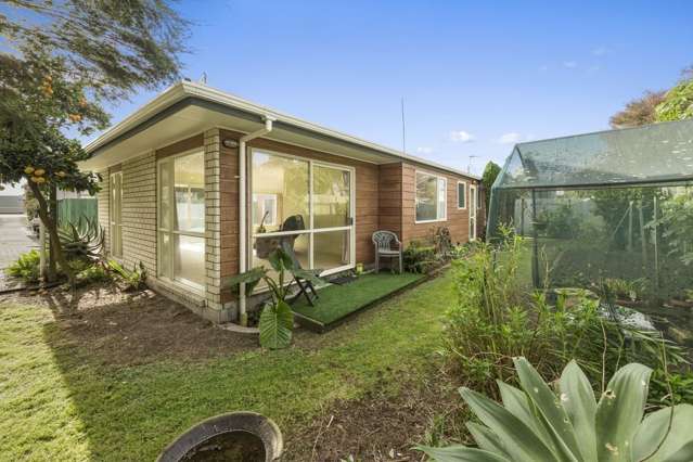 9b Kaniere Street Mount Maunganui_1