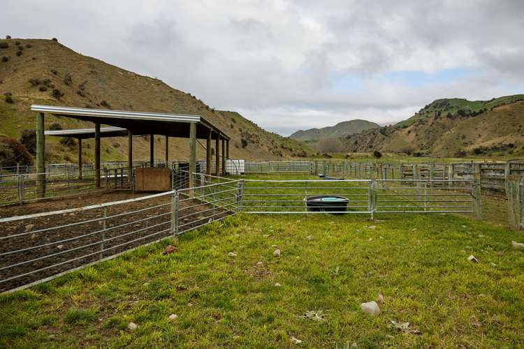 3717 Inland Kaikoura Road Mt Lyford_21