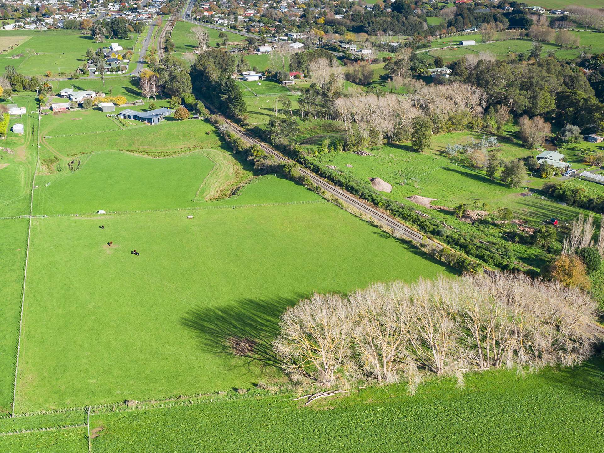 51 Roslyn Road Levin Horowhenua Rural Property For Sale One Roof
