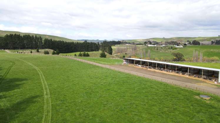 569 Maunga Road RD6 Dannevirke_12