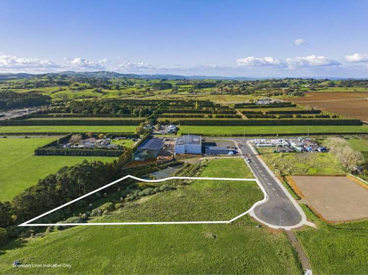 14 Allie Drive Tuakau_6