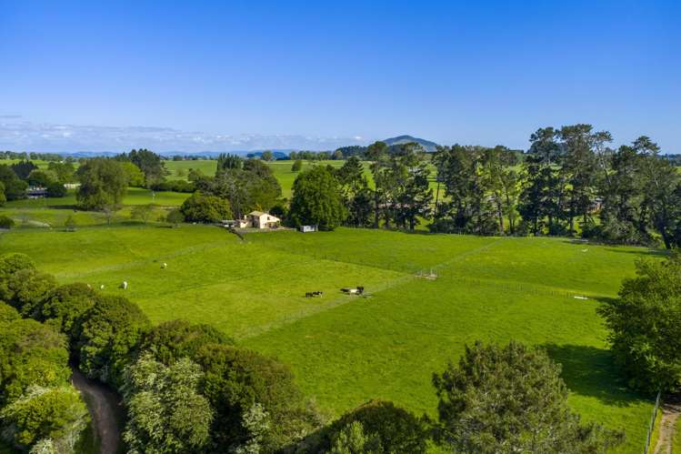 810 Pirongia Road Pirongia_18