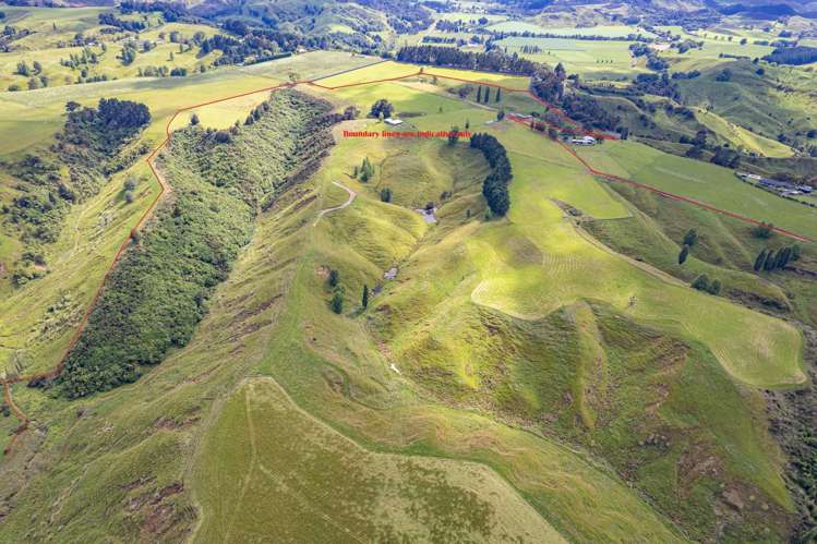 505A Kauangaroa Road Fordell_11