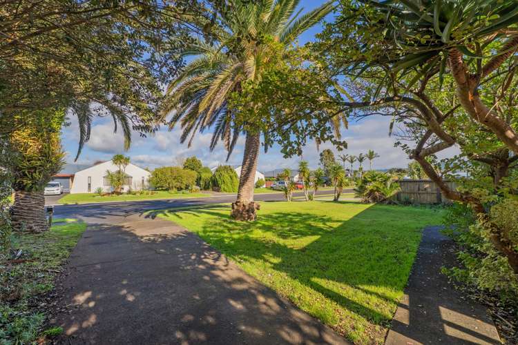 4 Springbok Avenue Whitianga_25