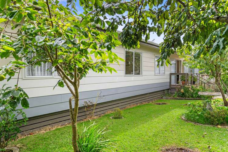 16b Carlton Street Te Aroha_22