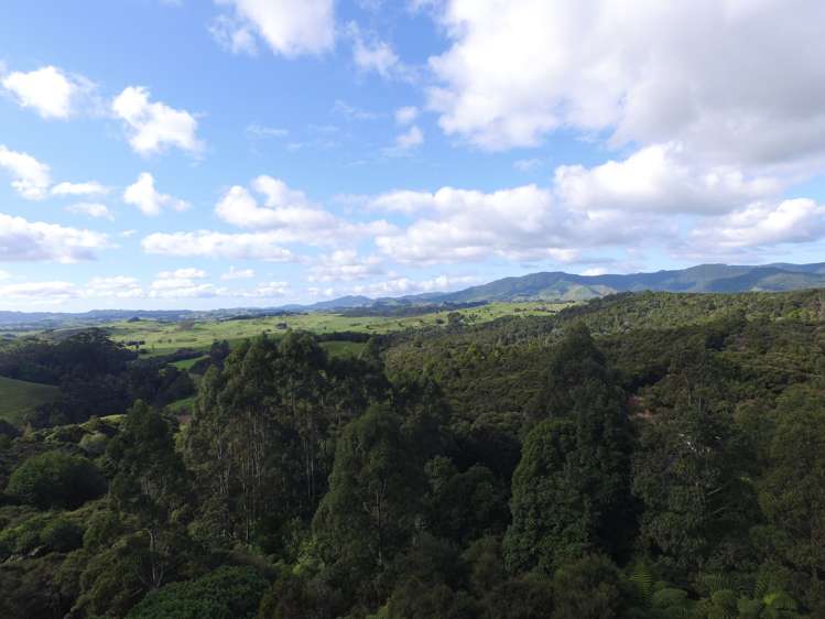 294 Munn Road Kaitaia_17