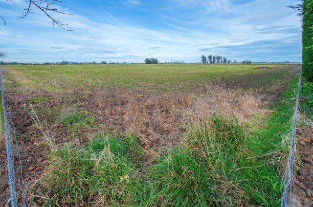 Jollies Road Southbridge_3