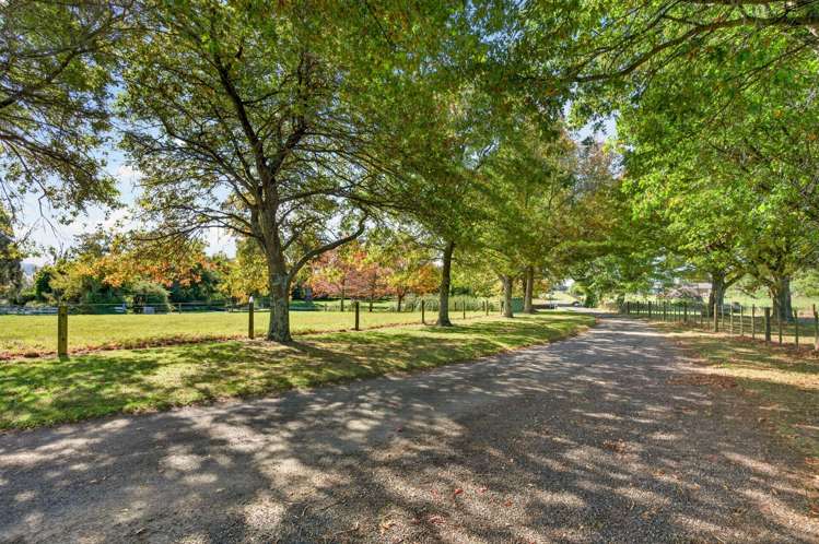 195 Park Road Parkvale_22