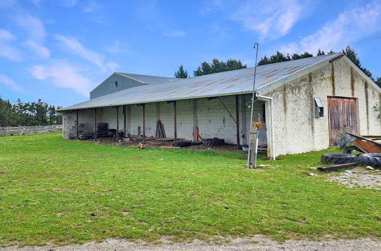 267 (Farm) Wehenga Road Hindon_13