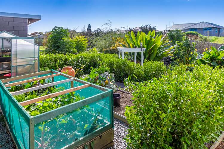 37 Aratapu Street Waitara_24