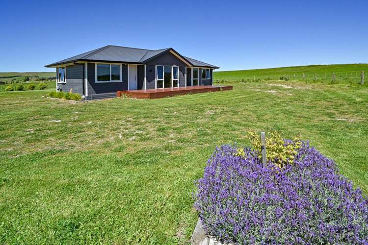 343B Kereru Road Maraekakaho_11