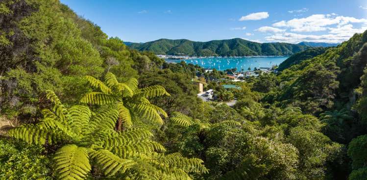 24 Amelia Crescent Waikawa Bay_9