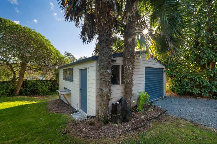 33 Princes Street Katikati_19