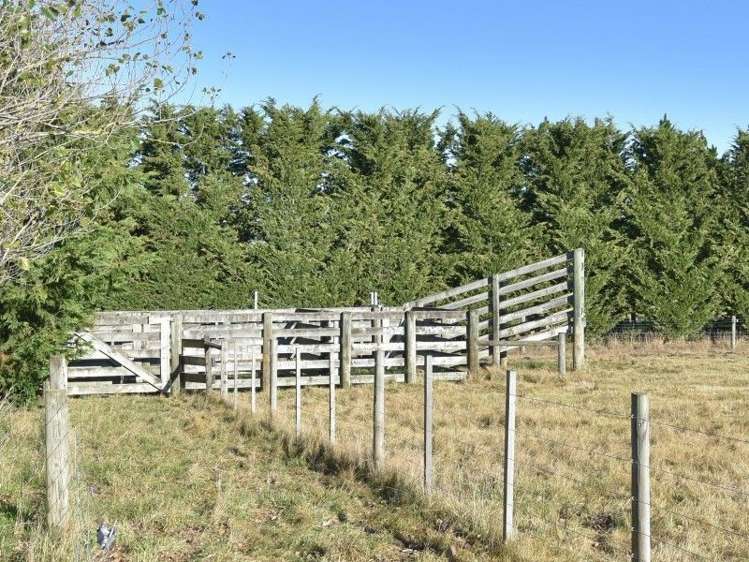 315 Foothills Road Okuku_11