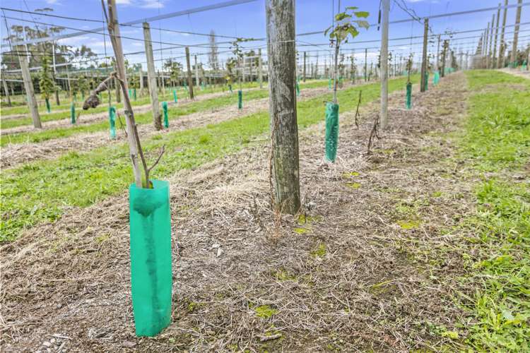 263 Waihi Beach Road Waihi_10