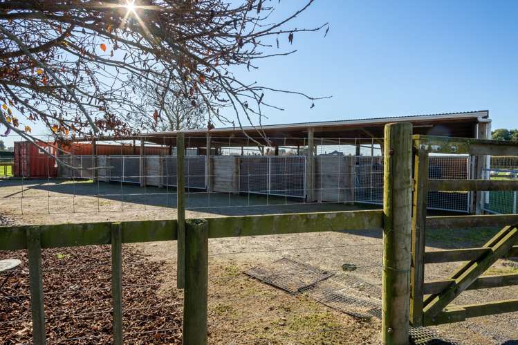 19 Brinkworth Road Tamahere_22