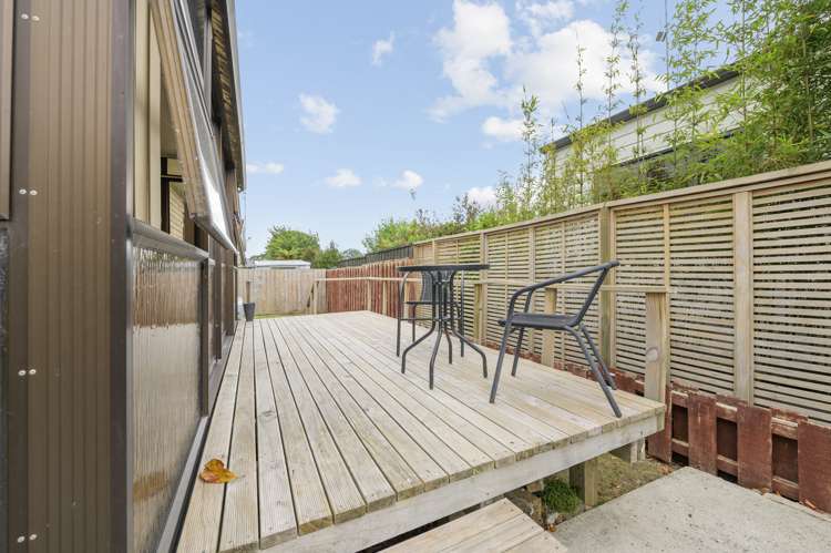 16a Cunningham Road Beerescourt_5