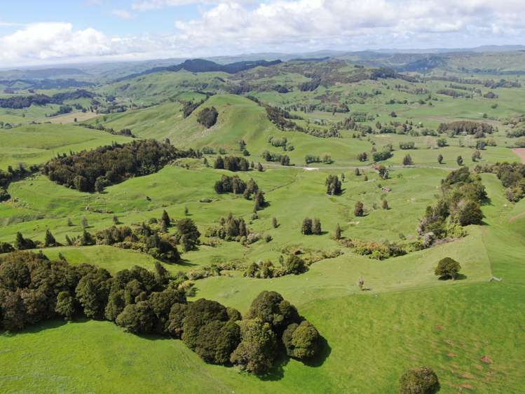 Lot (Rural)/1246 State Highway 3 Piopio_19