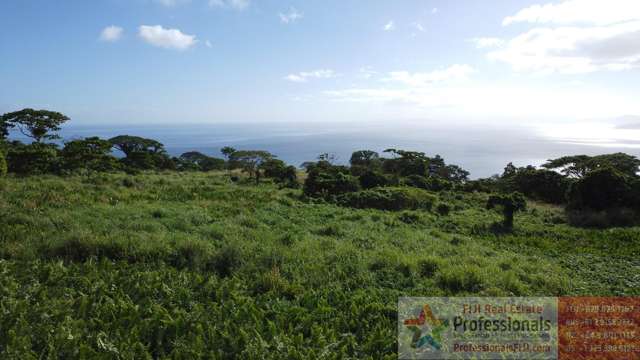 Spectacular Freehold Homesite with Panoramic Fiji Views