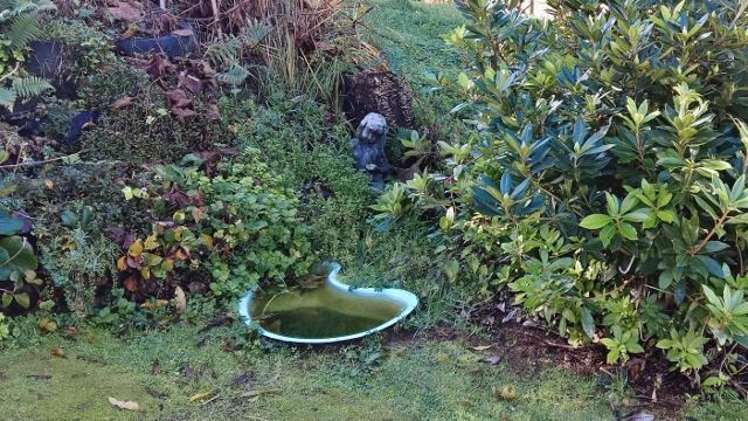 32 Lairdvale Road Taumarunui_21