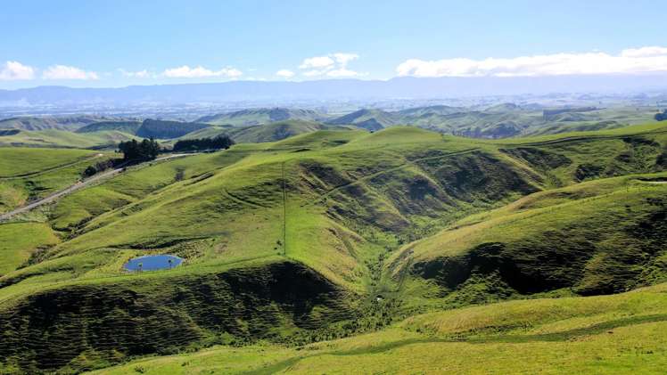 331 Waitahora Road Waitahora_8