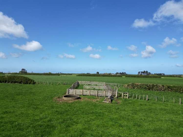 Ahipaipa Road Okaiawa_15