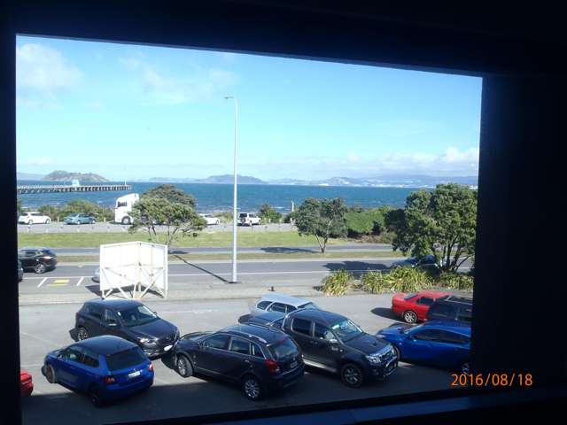 81 The Esplanade Petone_2