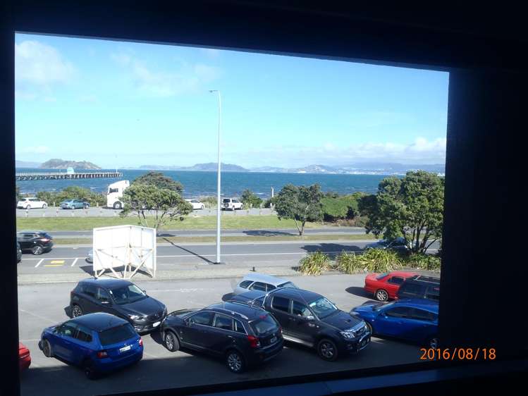 81 The Esplanade Petone_2