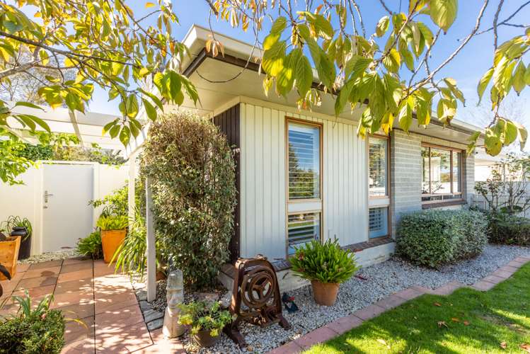 505 Oliphant Road Raureka_14