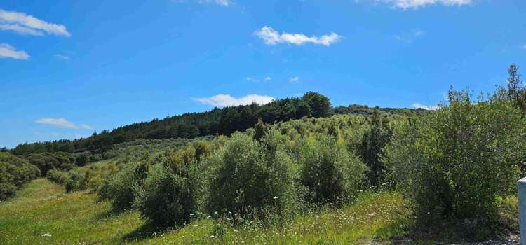 105 Frantoio Ridge Road Mangonui_5