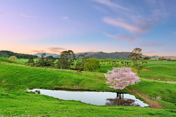 48 Poland Street Waikino_29