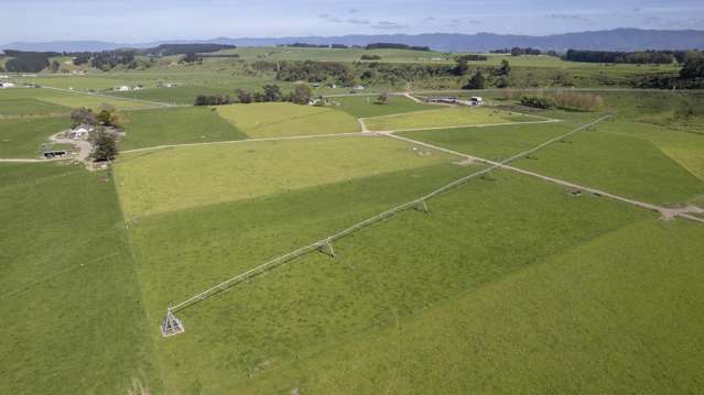 2556 State Highway 53 Martinborough_4