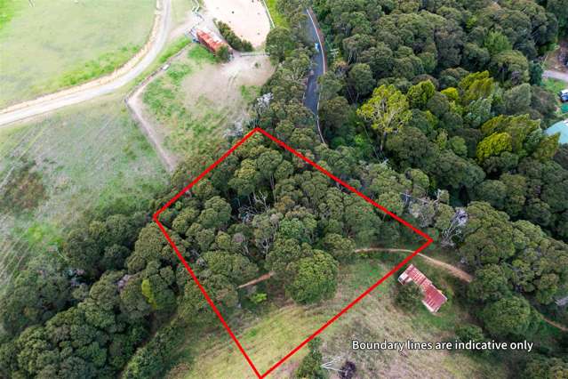 63 Grassmere Road Henderson Valley_2