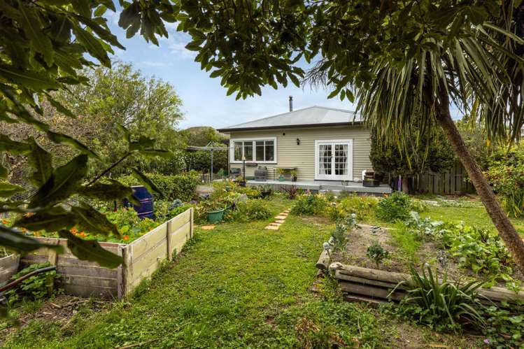 67 Seddon Street Ward_14