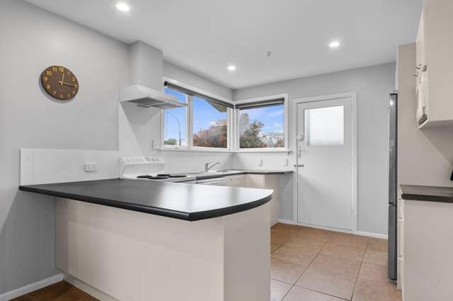 9 Karaka Place Somerfield_1