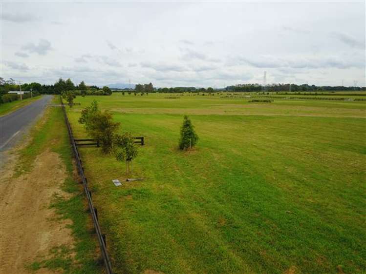 8 Margot Lane Matangi_16