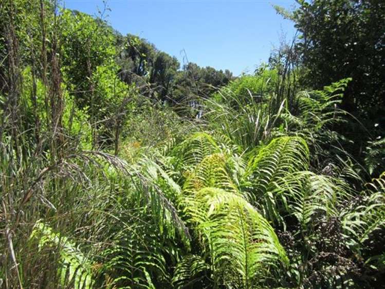 146 Havill Drive Hokitika_9