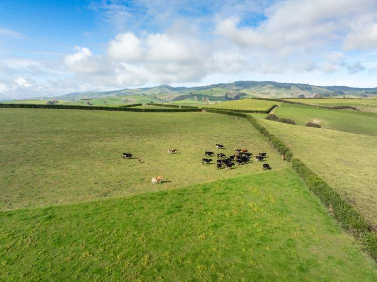 376 Starkey Road Morrinsville_23