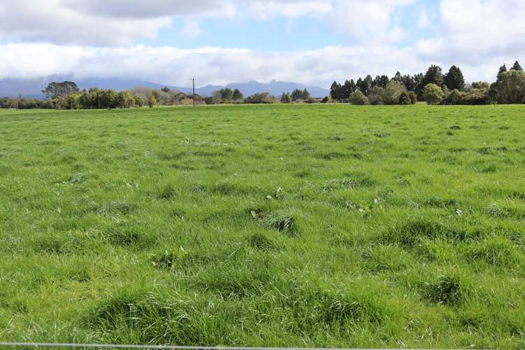 2403 Mountain Road Tariki_21