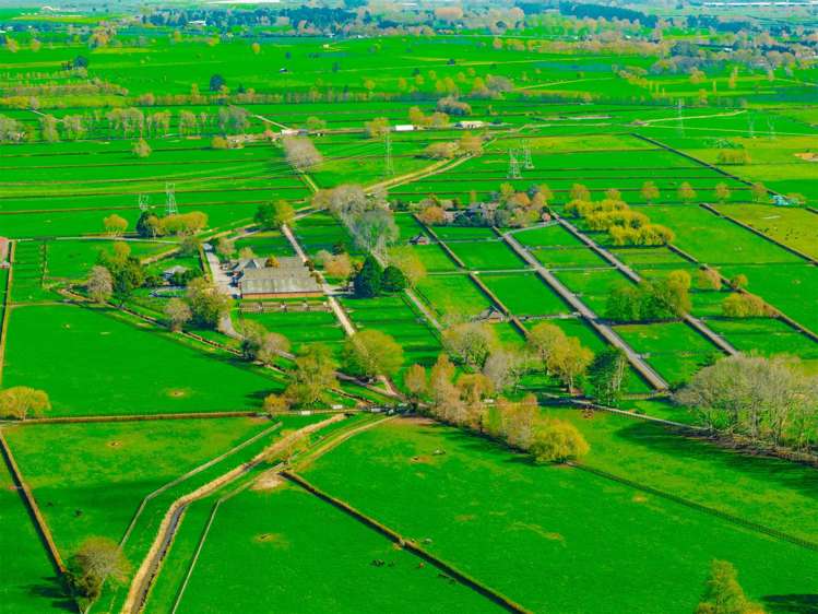 122 Rotoorangi Road Cambridge_1