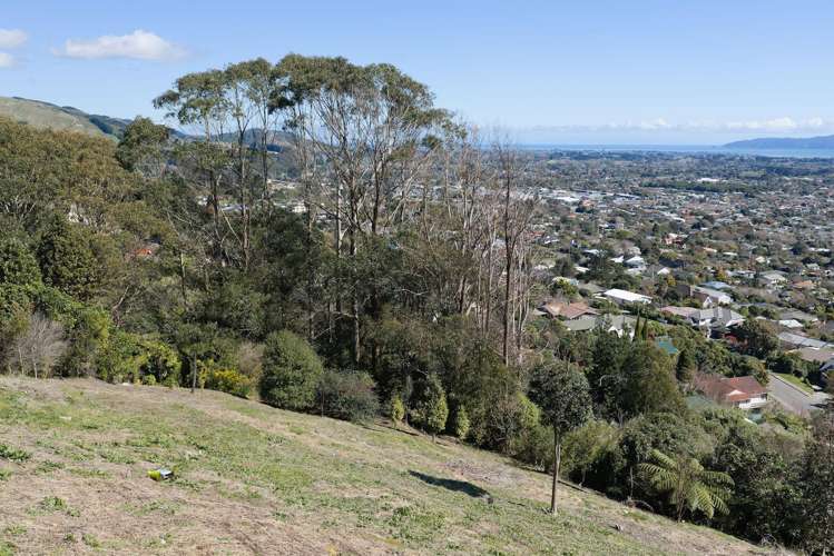32 Wilson Way Waikanae_7