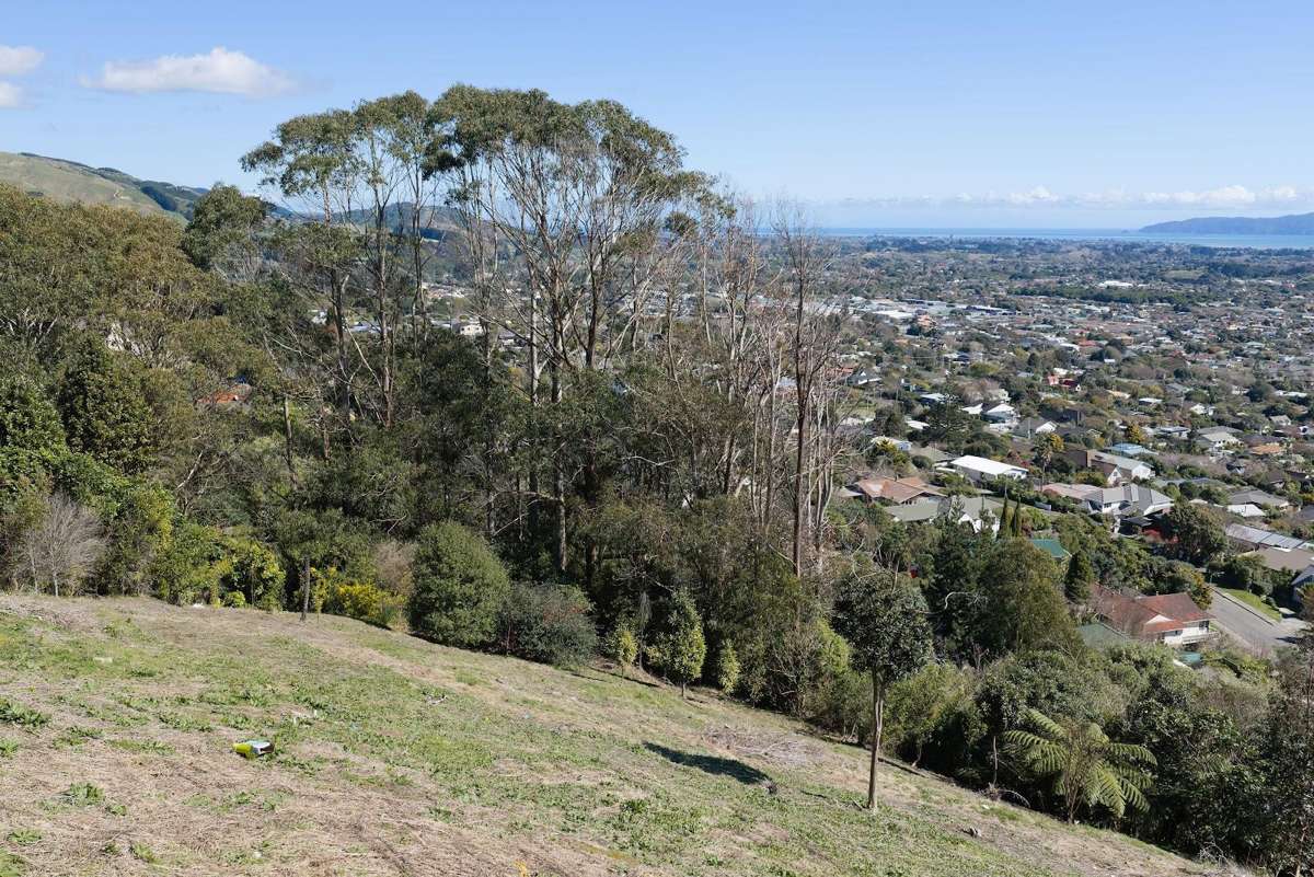 32 Wilson Way_3
