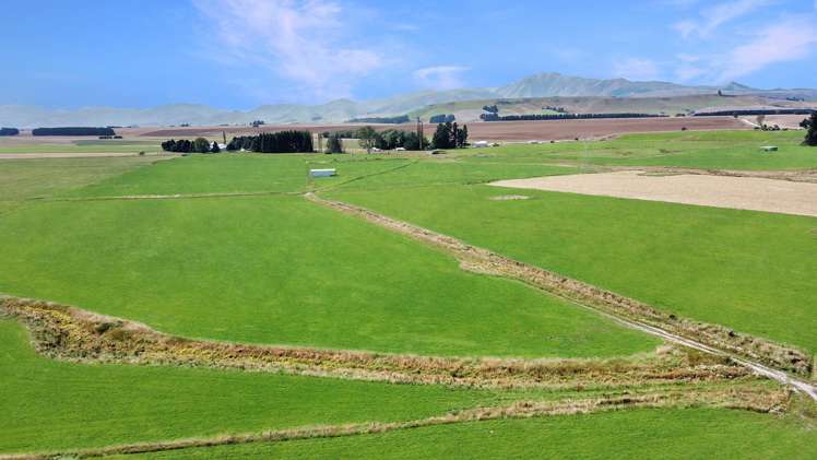 311 Hamilton Road Fairlie_8