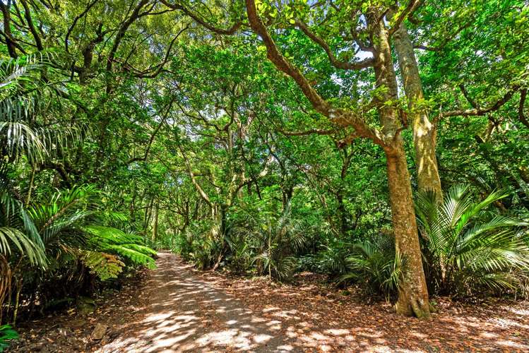 48 Whatitiri Road Maungatapere_6