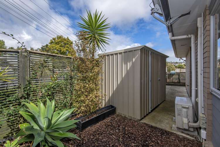 6 Cobble Lane Morningside_13