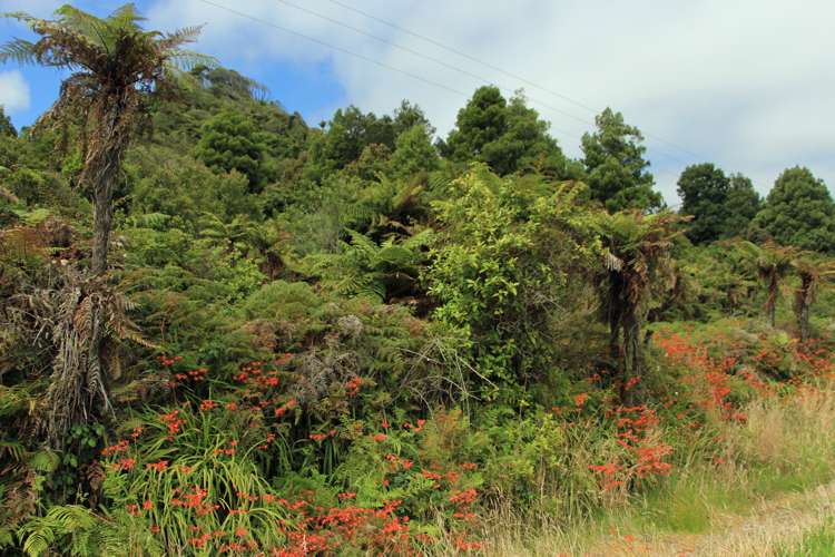 State Highway 6 Barrytown_5