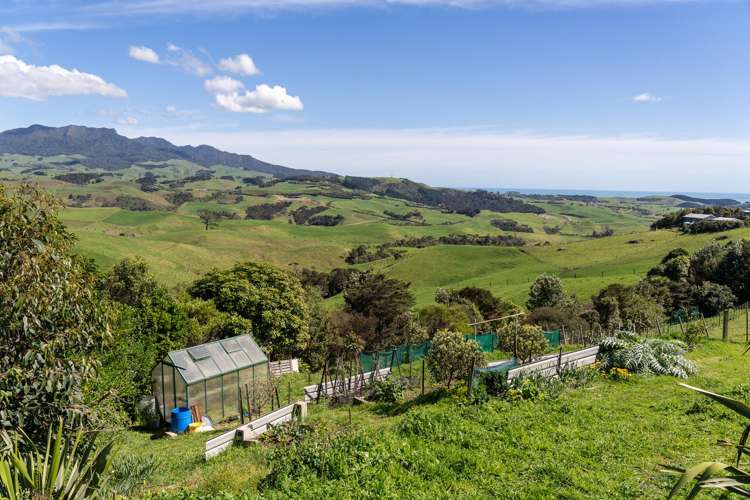 176 Maungatawhiri Road Raglan_20