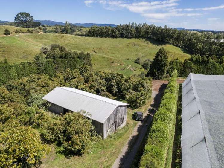 229 Walford Road Katikati_9